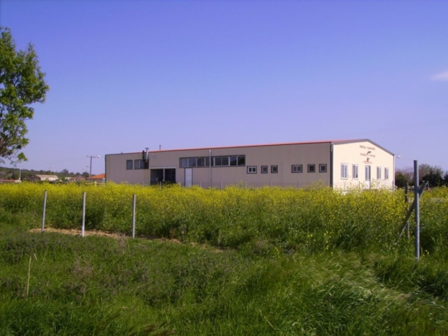 emka1996 -26